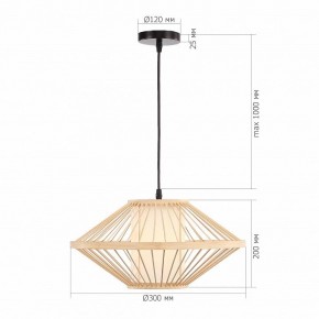 Подвесной светильник ST-Luce ALMA SL6241.533.01 в Талице - talica.ok-mebel.com | фото 5