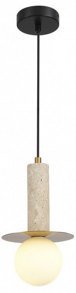 Подвесной светильник ST-Luce Earthy SL1194.303.01 в Талице - talica.ok-mebel.com | фото 3