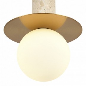Подвесной светильник ST-Luce Earthy SL1194.303.01 в Талице - talica.ok-mebel.com | фото 5