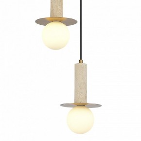 Подвесной светильник ST-Luce Earthy SL1194.303.03 в Талице - talica.ok-mebel.com | фото 4