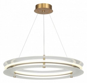 Подвесной светильник ST-Luce FAGY SL6245.203.01 в Талице - talica.ok-mebel.com | фото 2