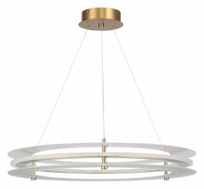 Подвесной светильник ST-Luce FAGY SL6245.203.01 в Талице - talica.ok-mebel.com | фото 3