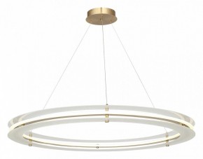 Подвесной светильник ST-Luce FAGY SL6245.213.01 в Талице - talica.ok-mebel.com | фото 4