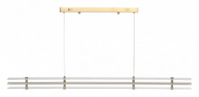 Подвесной светильник ST-Luce FAGY SL6245.223.01 в Талице - talica.ok-mebel.com | фото 3