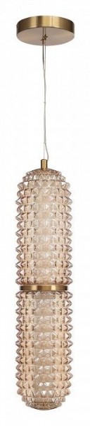 Подвесной светильник ST-Luce SAGUARO SL6144.303.01 в Талице - talica.ok-mebel.com | фото 3