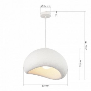 Подвесной светильник ST-Luce WABI SABI SL1522.513.01 в Талице - talica.ok-mebel.com | фото 5