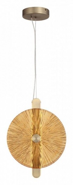 Подвесной светильник ST-Luce WASI SL6141.313.01 в Талице - talica.ok-mebel.com | фото 2