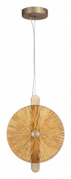 Подвесной светильник ST-Luce WASI SL6141.313.01 в Талице - talica.ok-mebel.com | фото 3