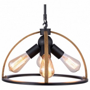 Подвесной светильник TopLight Jasmin TL1179H-04BK в Талице - talica.ok-mebel.com | фото