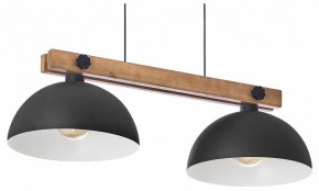 Подвесной светильник TopLight Marion TL1625H-02BK в Талице - talica.ok-mebel.com | фото 1