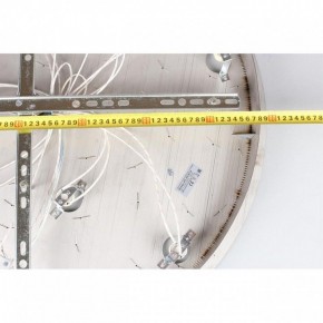 Потолочная люстра Aployt Teresa APL.855.06.10 в Талице - talica.ok-mebel.com | фото 16