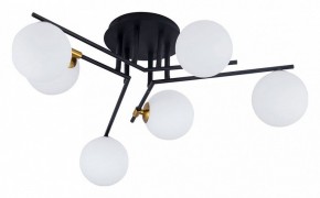 Потолочная люстра Arte Lamp Gemini A2243PL-6BK в Талице - talica.ok-mebel.com | фото