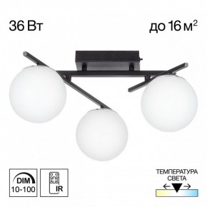 Потолочная люстра Citilux Dorsy CL223132 в Талице - talica.ok-mebel.com | фото 10