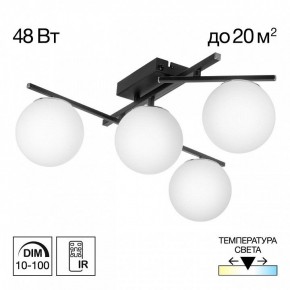 Потолочная люстра Citilux Dorsy CL223142 в Талице - talica.ok-mebel.com | фото 9