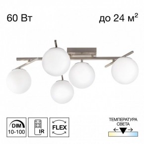Потолочная люстра Citilux Dorsy CL223151 в Талице - talica.ok-mebel.com | фото 2