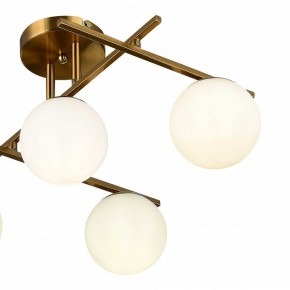 Потолочная люстра EVOLUCE SIERRA SLE1195-302-05 в Талице - talica.ok-mebel.com | фото 7