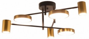 Потолочная люстра Kink Light Рапис 07645-6D,19(20) в Талице - talica.ok-mebel.com | фото