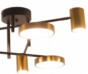 Потолочная люстра Kink Light Рапис 07645-6D,19(20) в Талице - talica.ok-mebel.com | фото 2
