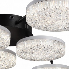 Потолочная люстра Lumion Didana 8236/6CL в Талице - talica.ok-mebel.com | фото 9