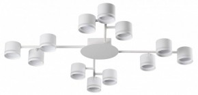 Потолочная люстра Lumion Gareta 8235/12C в Талице - talica.ok-mebel.com | фото