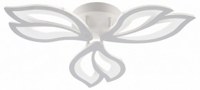 Потолочная люстра Natali Kovaltseva FORTUNA LED LAMPS 81107/2C в Талице - talica.ok-mebel.com | фото
