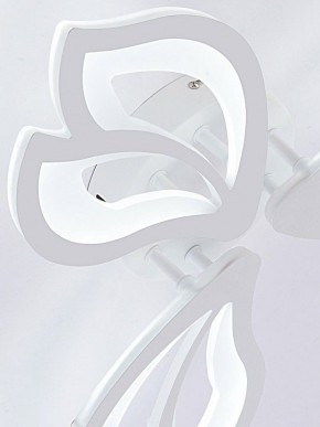 Потолочная люстра Natali Kovaltseva FORTUNA LED LAMPS 81107/2C в Талице - talica.ok-mebel.com | фото 10