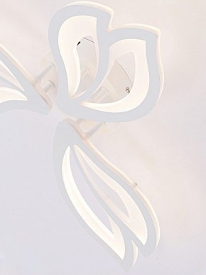 Потолочная люстра Natali Kovaltseva FORTUNA LED LAMPS 81107/2C в Талице - talica.ok-mebel.com | фото 11