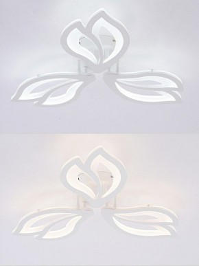 Потолочная люстра Natali Kovaltseva FORTUNA LED LAMPS 81107/2C в Талице - talica.ok-mebel.com | фото 4