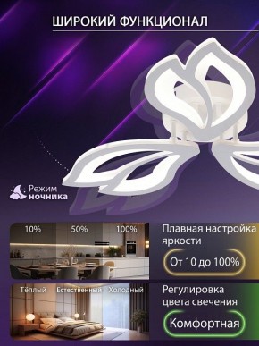 Потолочная люстра Natali Kovaltseva FORTUNA LED LAMPS 81107/2C в Талице - talica.ok-mebel.com | фото 5