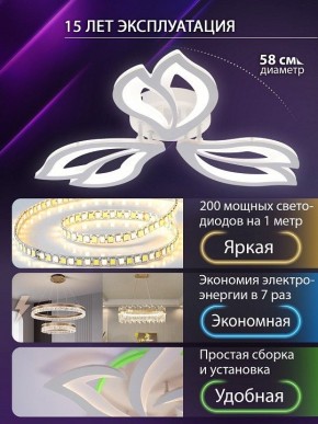 Потолочная люстра Natali Kovaltseva FORTUNA LED LAMPS 81107/2C в Талице - talica.ok-mebel.com | фото 6