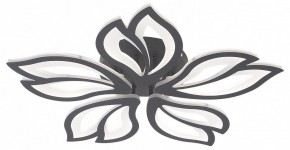 Потолочная люстра Natali Kovaltseva FORTUNA LED LAMPS 81107/5C в Талице - talica.ok-mebel.com | фото