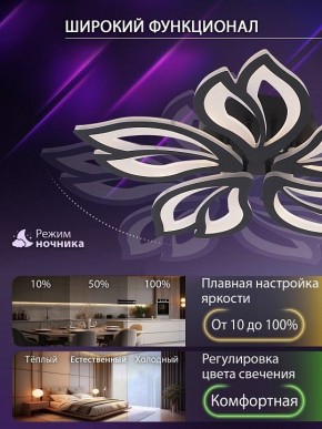 Потолочная люстра Natali Kovaltseva FORTUNA LED LAMPS 81107/5C в Талице - talica.ok-mebel.com | фото 6