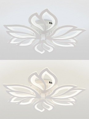 Потолочная люстра Natali Kovaltseva FORTUNA LED LAMPS 81107/6C в Талице - talica.ok-mebel.com | фото 4
