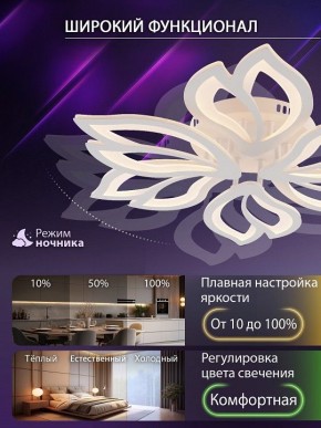 Потолочная люстра Natali Kovaltseva FORTUNA LED LAMPS 81107/6C в Талице - talica.ok-mebel.com | фото 6