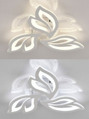 Потолочная люстра Natali Kovaltseva  LED LAMPS 81426 в Талице - talica.ok-mebel.com | фото 4