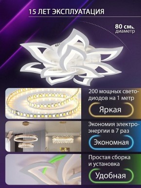 Потолочная люстра Natali Kovaltseva OLIMP LED SMART 84005 в Талице - talica.ok-mebel.com | фото 5