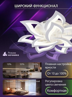 Потолочная люстра Natali Kovaltseva OLIMP LED SMART 84005 в Талице - talica.ok-mebel.com | фото 6
