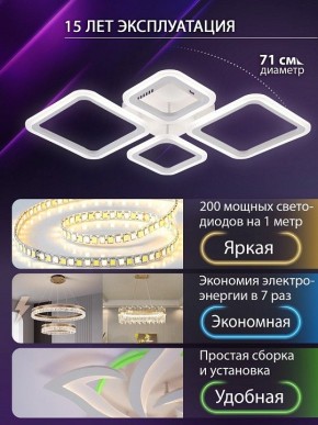 Потолочная люстра Natali Kovaltseva OPTI LED LAMPS 81108/1C в Талице - talica.ok-mebel.com | фото 5
