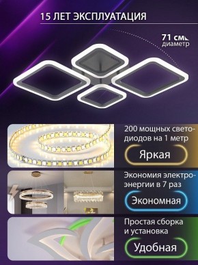 Потолочная люстра Natali Kovaltseva OPTI LED LAMPS 81108/2C в Талице - talica.ok-mebel.com | фото 5
