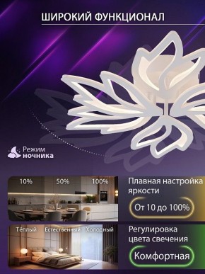 Потолочная люстра Natali Kovaltseva RIF LED LAMPS 81118/5C в Талице - talica.ok-mebel.com | фото 6