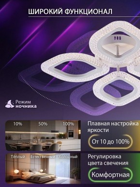 Потолочная люстра Natali Kovaltseva SM LED LAMPS 81455 в Талице - talica.ok-mebel.com | фото 6