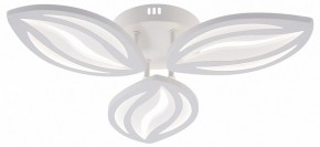 Потолочная люстра Natali Kovaltseva SM LED LAMPS 81456 в Талице - talica.ok-mebel.com | фото