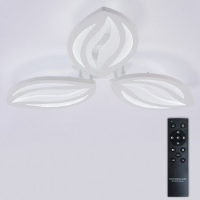 Потолочная люстра Natali Kovaltseva SM LED LAMPS 81456 в Талице - talica.ok-mebel.com | фото 3