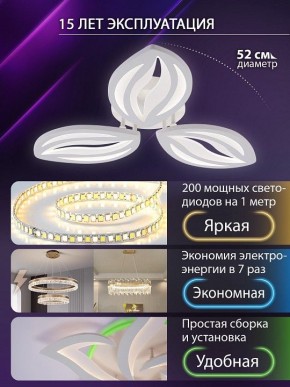 Потолочная люстра Natali Kovaltseva SM LED LAMPS 81456 в Талице - talica.ok-mebel.com | фото 5