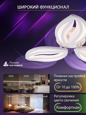 Потолочная люстра Natali Kovaltseva SM LED LAMPS 81456 в Талице - talica.ok-mebel.com | фото 6