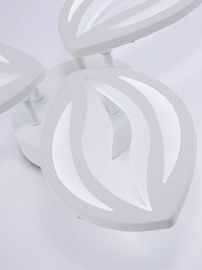 Потолочная люстра Natali Kovaltseva SM LED LAMPS 81456 в Талице - talica.ok-mebel.com | фото 8