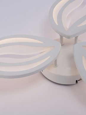 Потолочная люстра Natali Kovaltseva SM LED LAMPS 81456 в Талице - talica.ok-mebel.com | фото 9