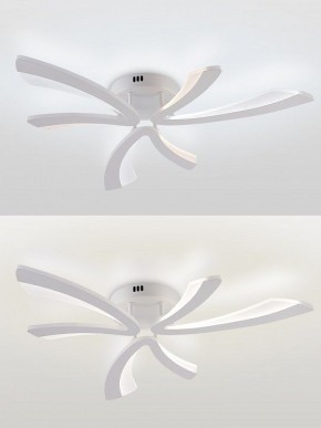 Потолочная люстра Natali Kovaltseva VIO LED LAMPS 81453 в Талице - talica.ok-mebel.com | фото 4