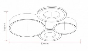 Потолочная люстра Rivoli Aliona Б0066451 в Талице - talica.ok-mebel.com | фото 11