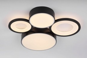 Потолочная люстра Rivoli Aliona Б0066451 в Талице - talica.ok-mebel.com | фото 8